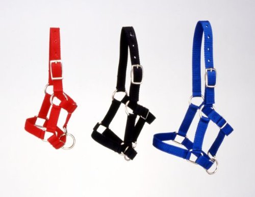 Tough-1 Miniature Nylon Halter