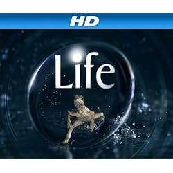 Life Season 1 [HD]