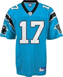 Carolina Panthers Jake Delhomme Replica Youth Alternate Color NFL Equipment Jersey