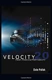 Velocity 2.0: Paint, Pixels and Profitability