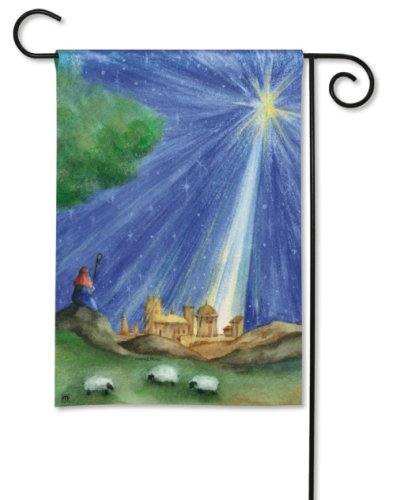 BreezeArt Witness 12.5" x 18" Decorative Garden flag