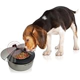 Pet dish with Automatic motion sensor by Sharper Image&reg;