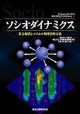 ソシオダイナミクス - 社会経済システムの物理学的方法-