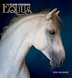 Equus by Susan Friedman, 2013