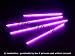 Purple Underglow Underbody 4 Pc Car Neon Kit Lights - Brand New - FREE SHIPPING