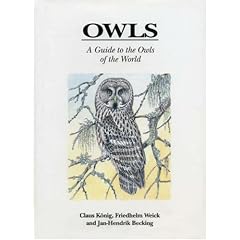 Owls
