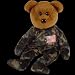 Hero (USA) the Bear - Ty Beanie Baby