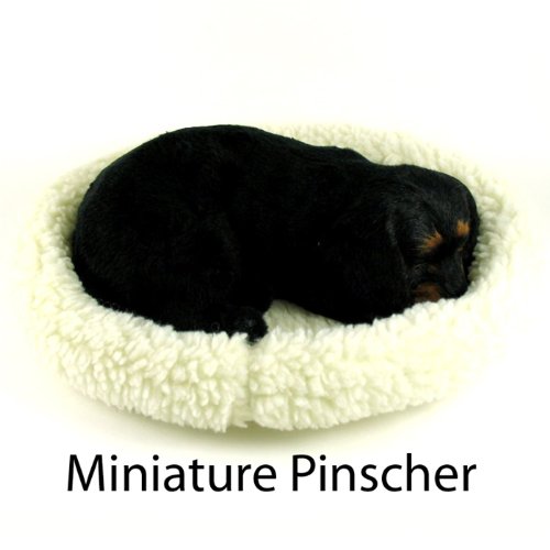 Pet Miniature Pinscher - Pet Mate / Nap Breathing Life Like Dog in Bed Sleeping