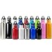Search : Eco-Friendly Wide Mouth 17 oz, 500 mL Stainless Steel Water Bottle - BPA Free
