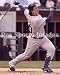 Magglio Ordonez Detroit Tigers 8x10 Photo