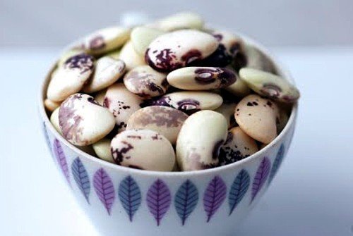 Florida Butter Speckled Lima Bean 25 Seeds - Butterbean Florida Butter Speckled Lima Bean 25 Seeds - Butterbean