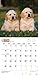 Golden Retriever Puppies 18-Month 2015 Calendar