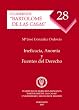 Ineficacia, Anomia Y Fuentes Del Derecho (Spanish Edition)