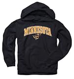 Minnesota Golden Gophers Youth Black Perennial II Hooded Sweatshirt