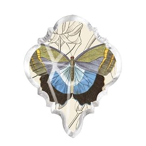 Blue Butterfly Fringe Studio Chandlier Crystal Drop Shape Magnet