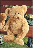 Georgie Teddy Bear 33cm