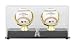 Los Angeles Angels of Anaheim Gold Glove Double Baseball Logo Display Case