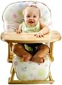 Ladybug Lullabye High Chair Pad