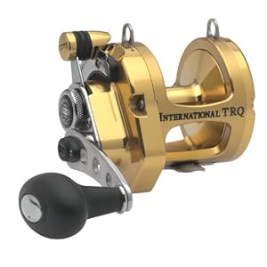 Penn Gold Label Series Torque Lever Drag Reel (360-Yard/30-Pound-M... 650-Yard 80-Pound-Braid)