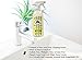 Natural HomeLogic Eco Friendly Bathroom Cleaner - 16 oz (1 Pack, Citrus Grove)