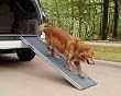 SOLVIT DLX TELESCOPING PET RMP