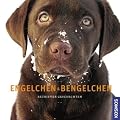 Engelchen & Bengelchen: Retriever Geschichten