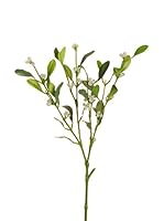 Evergreens Set 12 Ramas De Muérdago Artificiales Verde