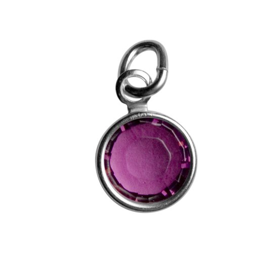 Sterling Silver Crystal February Birthstone for Mother's Charm Pendant