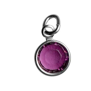Buy February Birthstone Charm - Hangs on Mother's Loving Embrace Pendant by Loving Family
