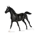 Breyer Black Gold with Book