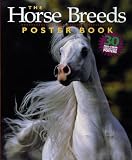 The Horse Breeds Poster Book[HORSE BREEDS POSTER BK][Paperback]