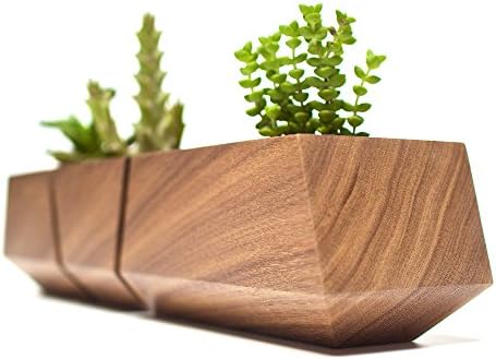 Boxcar Succulent Planters - Solid Walnut