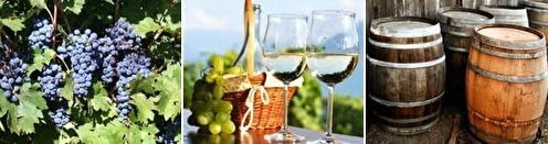 Texas Winos Gift Card ($120)