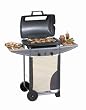 Campingaz 204095 Gasgrill Expert 2 Plus