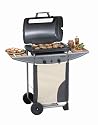 Campingaz 204095 Gasgrill Expert 2 Plus