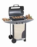 Campingaz 204095 Gasgrill Expert 2 Plus