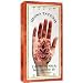 Earth Henna Henna Tattoos Body Painting Kit 1 Kit Earth Henna Henna Tattoos Body Painting Kit 1 Kit