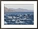 Porpoises Leap from the Waters of the Gulf of California Collections Framed Photographic Poster Print by Walter Meayers Edwards, 29x21