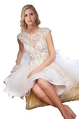 A-line Cocktail Short Flared-Skirt Chiffon/Organza Lace Beaded Scoop Neck Cap Sleeves Evening Dress/Homecoming Dress/Prom Dress/Party Dress/Wedding Dress 