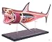 All Products : Tedco 4D Vision Great White Shark Anatomy Model