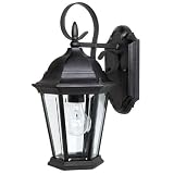 Capital Lighting 9726BK Carriage House 1-Light Exterior Wall Lantern, Black Finish with Clear Beveled Glass