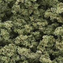 CLUMP BURNT GRASS