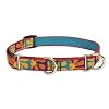 Lupine 3/4" Crazy Daisy 14-20 Combo Dog Collar