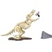 Search : Road Champs MXs Pro Stunt Rippers T-Rex Terror