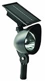 Paradise GL23835BK2 Plastic Solar Spot Light, 2-Pack, Black