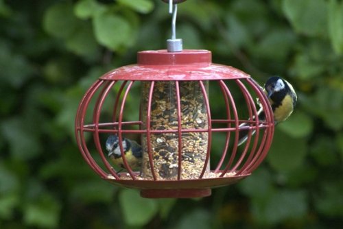Squirrel & Predator Proof Chinese Lantern Seed Feeder