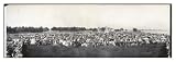 Historic Michigan Auto Panorama Detroit 1909, Panorama