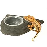 Mini Magnetic Gecko Feeder Ledge