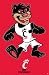 University of Cincinnati Bearcats Poster Print, 22x34