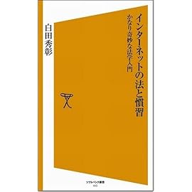 インターネットの法と慣習　かなり奇妙な法学入門 [ソフトバンク新書]